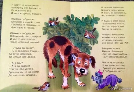Собак писали песни