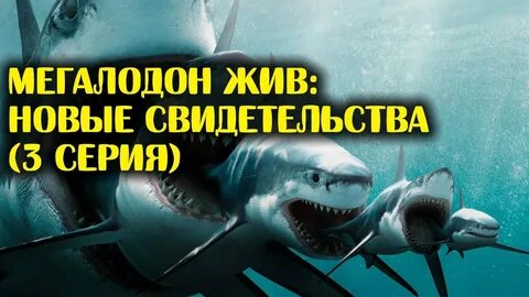 Нова жива