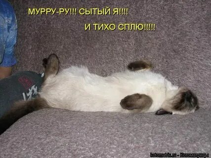 Тихо спи дил и ушел