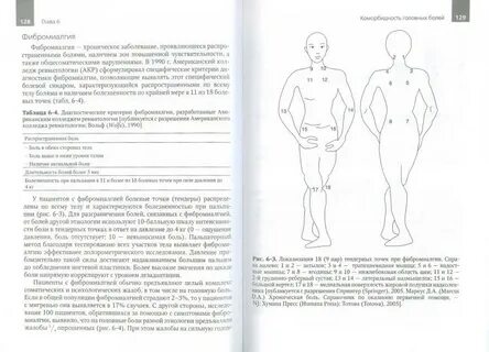 Головная книга