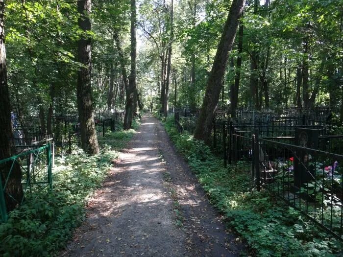 Новое кладбище солнечногорск. Кладбище в солнечногорске. Старое кладбище солнечногорск. Кладбище деревни новая солнечногорск. Кладбище в солнечногорске.