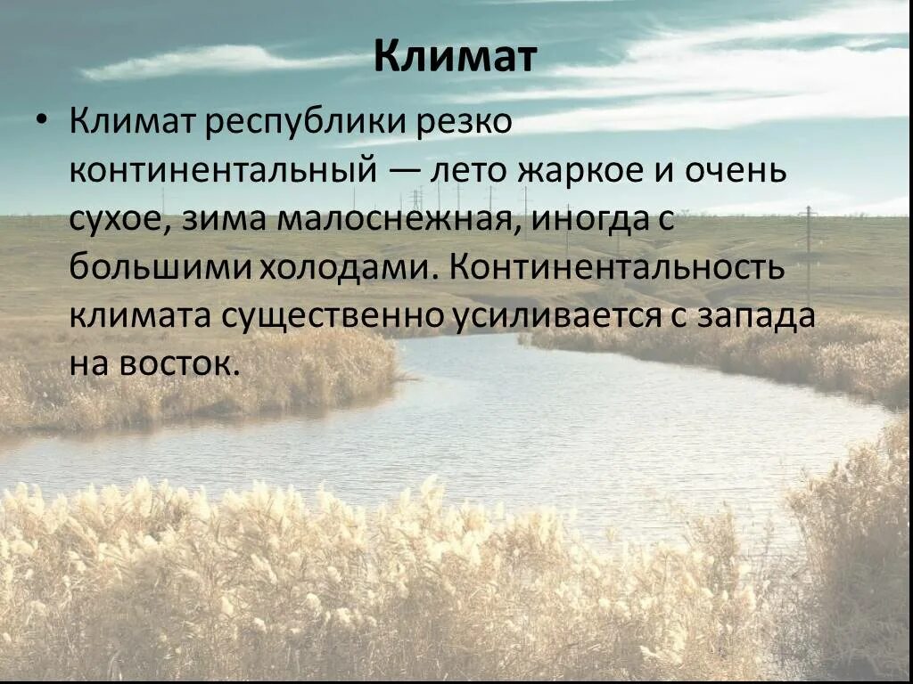 Где жаркое лето и теплая зима. Республика Калмыкия климат. Климат Калмыкии кратко. Слайд континентальность климата. Климат .растительный и животный мир Калмыкии. Презентация.