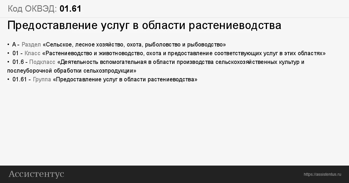 Оквэд 63.99 1. ОКВЭД 2020 С расшифровкой по видам деятельности для ИП. Розничная торговля ОКВЭД. ОКВЭД строительные материалы.