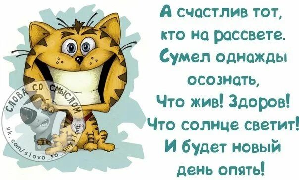 Верь несмотря ни на что. Совет дня с юмором. счастлива несмотря ни на что цитаты. я счастлива не смотря ни на что. ты жив здоров.