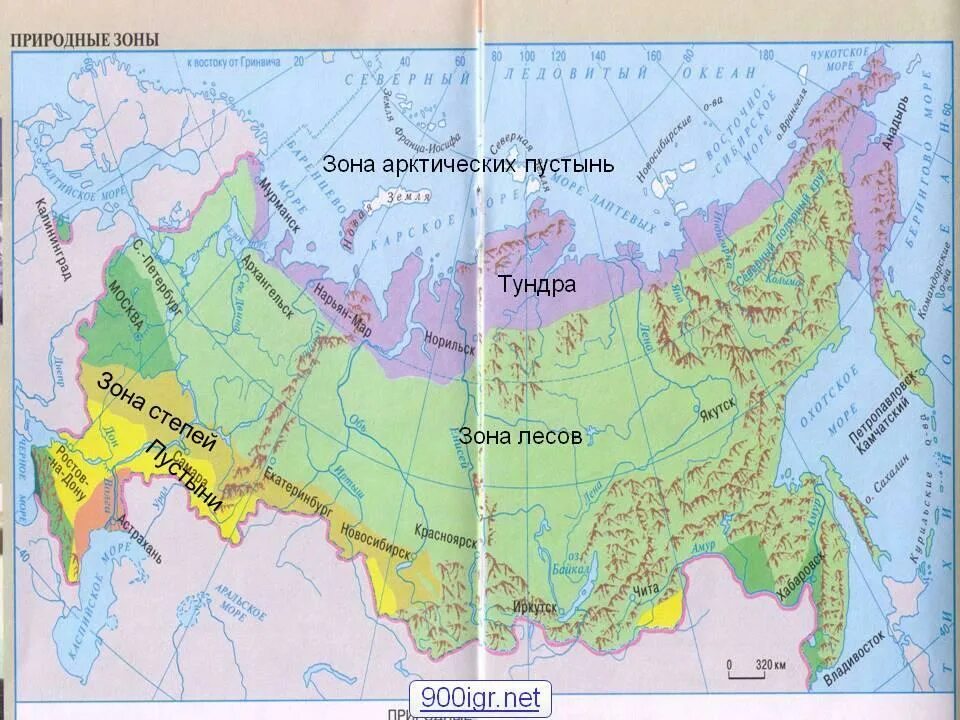 Зона арктики расположена. Зона арктических пустынь на карте россии 4 класс. показать на карте зону арктических пустынь. зона арктических пустынь на карте 4 класс. тундра на карте россии природных зон.