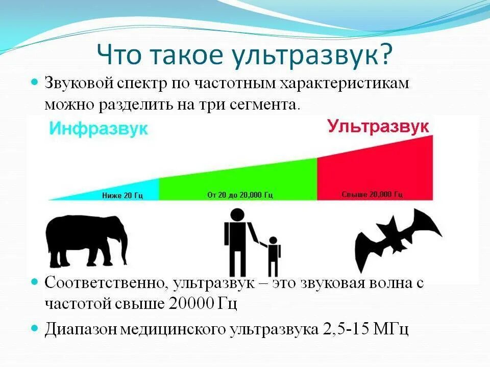 Ультразвук какой диапазон. Частоты ультразвука и инфразвука. звук инфразвук ультразвук. диапазон частот звука ультразвука и инфразвука. ультразвук инфразвук слышимый диапазон.