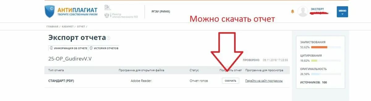 Антиплагиат. Антиплагиат ру. Антиплагиат отчет. Антиплагиат Скриншот. Кабинет антиплагиат ранхигс