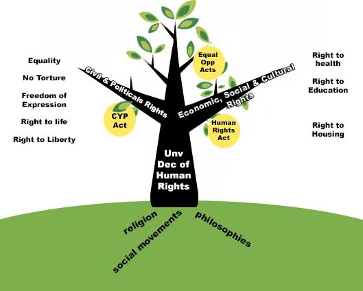 Philosophers’ Tree учзукшькте. Philosophy of Human rights.