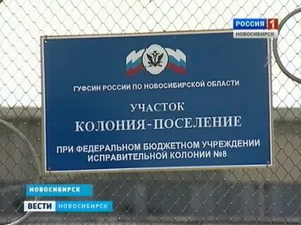 Колония поселение сроки