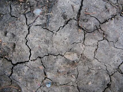 Damaged lands