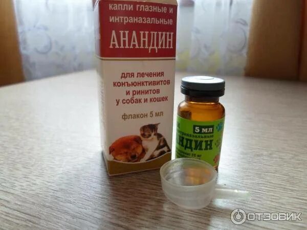 Интраназальные капли. Анандин капли в нос. анандин инъекции для кошек. интраназальные капли для кошек. анандин инъекции для собак.