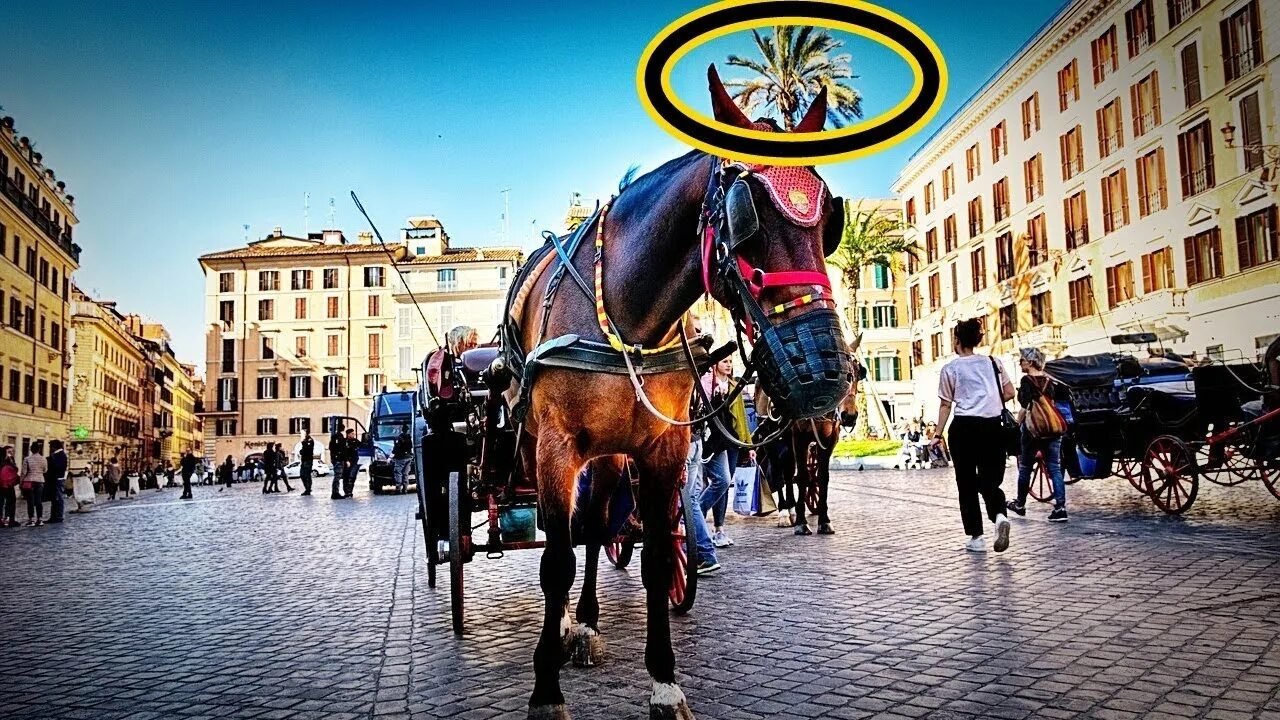 I had set my on visiting rome