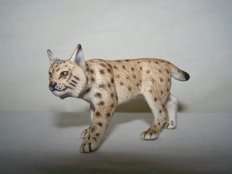 Schleich Рысь 14822. Рысь Коллекта. Collecta Рысь (88565b). Рысь шляйх.