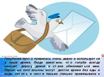 Откуда почтовые голуби знали куда лететь