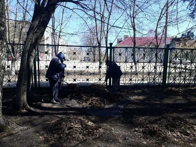 Сердобск березки. Парк Березовая роща Сердобск. Сердобск Пензенская область парк Березовая роща. Парк Березки в г Сердобск. Березовая роща Сердобск проект.