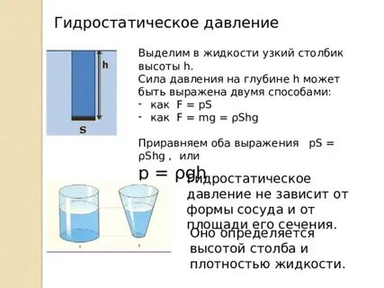 Сила давления жидкости и газов