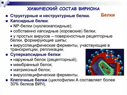 В чем состоит принцип вируса