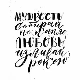 Фраза шрифтом