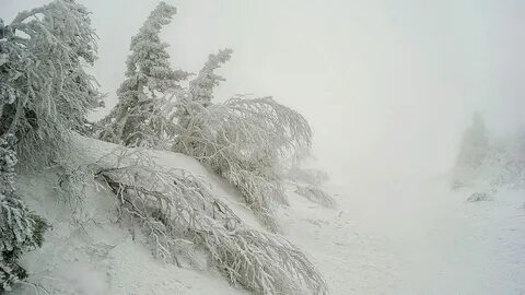 Стояли сильные морозы была вьюга дул