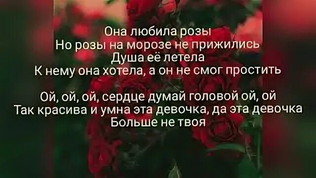 Я встретил розу она текст. Она любила розы текст. Слова песни она любила розы.