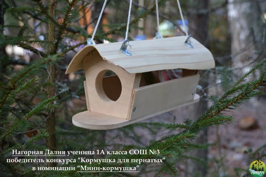 креативная кормушка. простая кормушка для птиц. название кормушки. кормушка. оригинальное название кормушки.