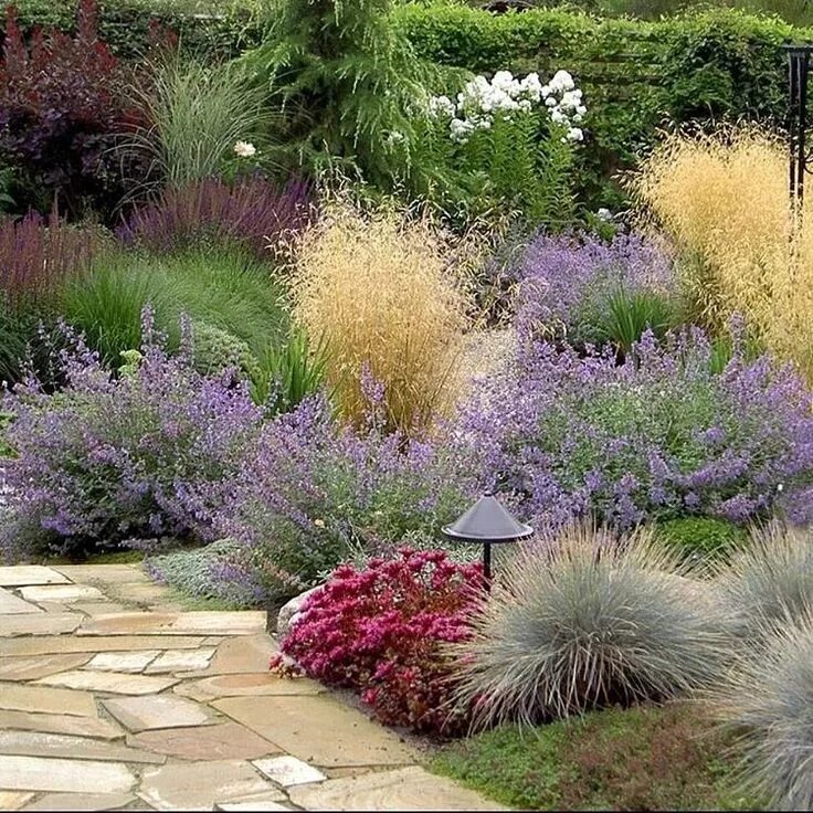 Dotdash Meredith - America's Largest Digital & Print Publisher California garden