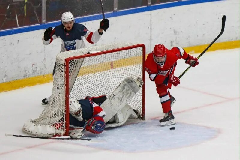 мхк арктика полет