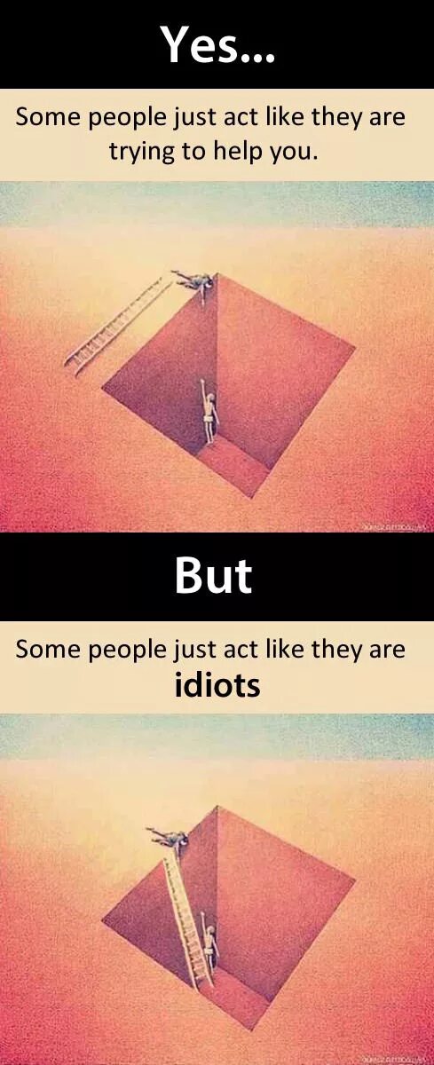 Some people saw. Фразы people are Idiots.