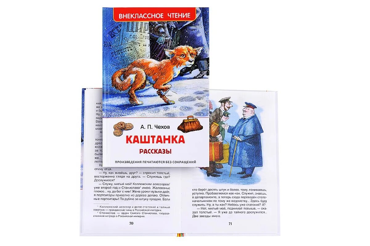 чехов каштанка 1 глава. внеклассное чтение каштанка. чехов каштанка читать. каштанка геннадия спирина. антон чехов — каштанка: рассказ.