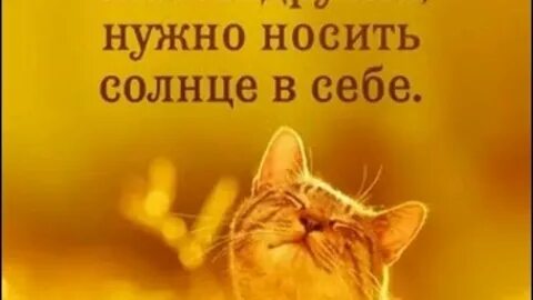 Надел солнце