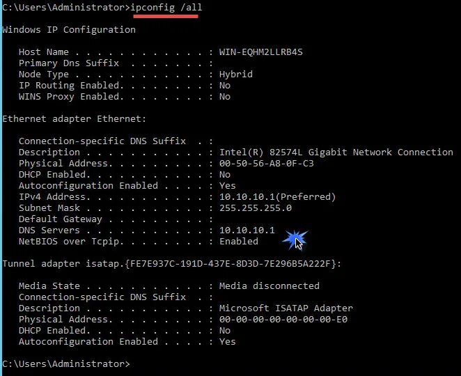 Статический ip сервера. Как выглядит статический IP адрес. Статический IP на виндовс сервер. Адрес wins-сервера как узнать. Как выглядит статический IP адрес в cmd.