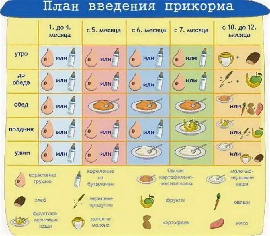 Прикорм как правильно вводить схема. Прикорм как правильно вводить схема