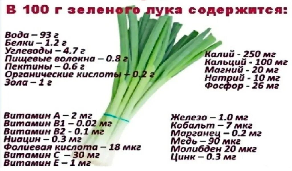 Сколько углеводов в луке. Лук зелёный состав химический витамины. Какие витамины содержатся в зеленом луке.