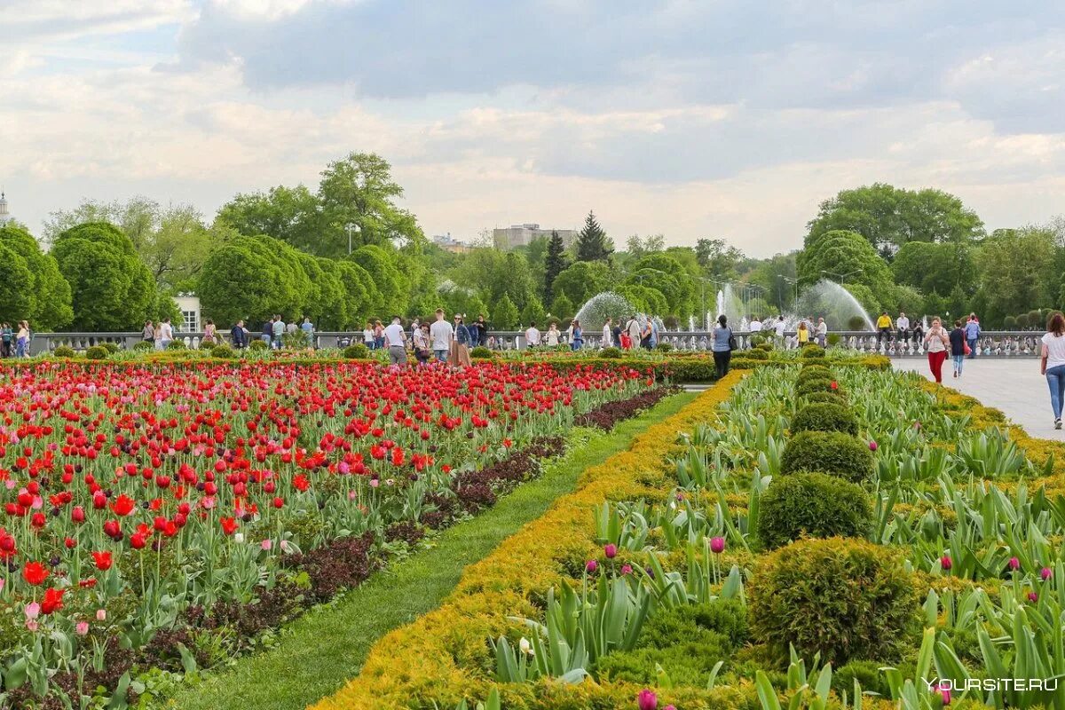 Московское горький парк. Парк Горького Москва. Парк культуры Горького Москва. Парки Москвы парк Горького. Парк Горького лето 2023.