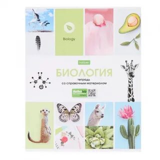 Мир знаний тетради