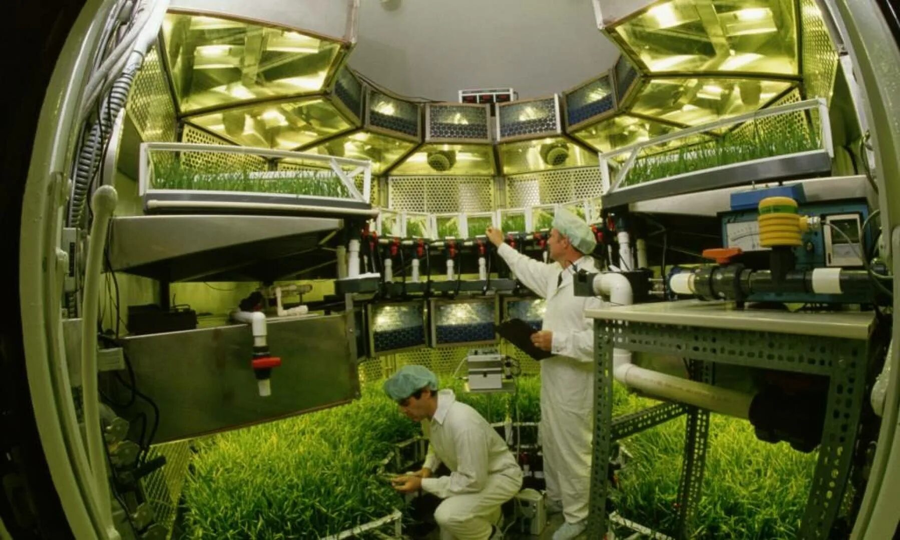 Какой овощ первый вырастили в космосе. Оранжерея Veggie МКС. Оранжерея в космосе. Оранжерея на космическом корабле. Растения на космическом корабле.