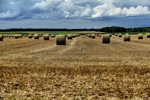Farmland