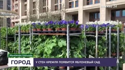Садов москва 24