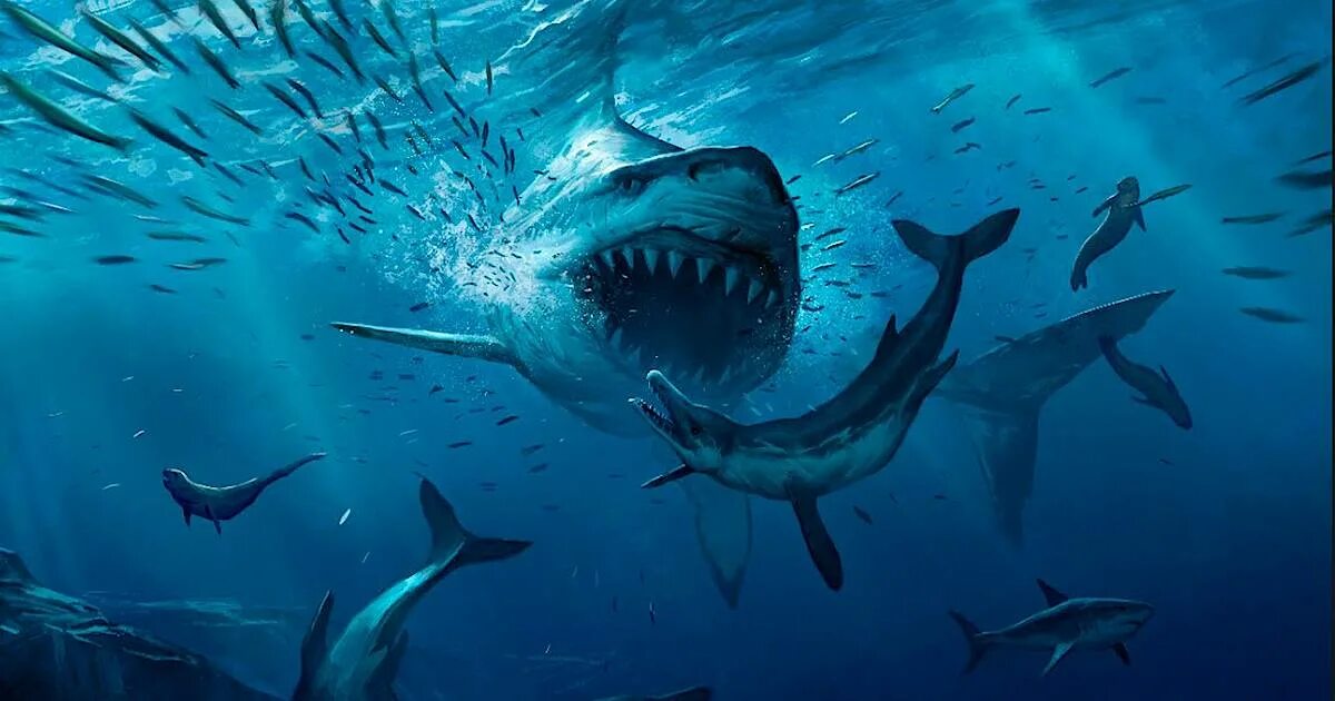 Самого древнего океана. Акула МЕГАЛОДОН. Гигантская акула МЕГАЛОДОН. Вымершая акула МЕГАЛОДОН. Самый большой в мире акула МЕГАЛОДОН.