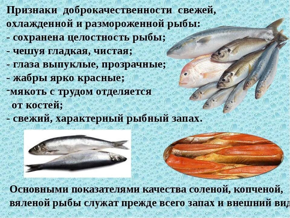 Качество рыбы. Внешний вид свежей рыбы. Определении качества рыбных продуктов. Показатели качества свежей рыбы.