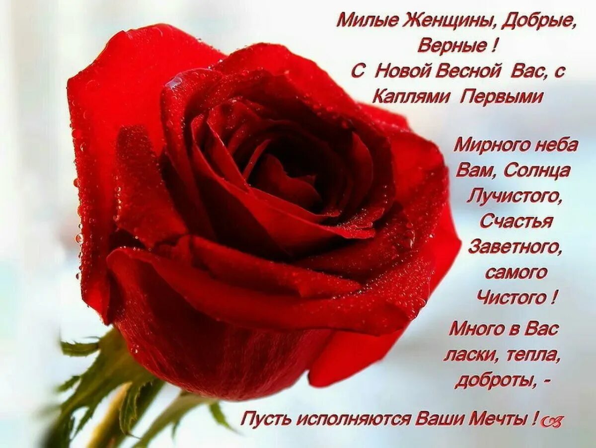 Стихи про цветы красивые. Стихи милой моей хорошей. Стихи любимой жене до слез. Стихи милой моей хорошей. Стихи для любимого.