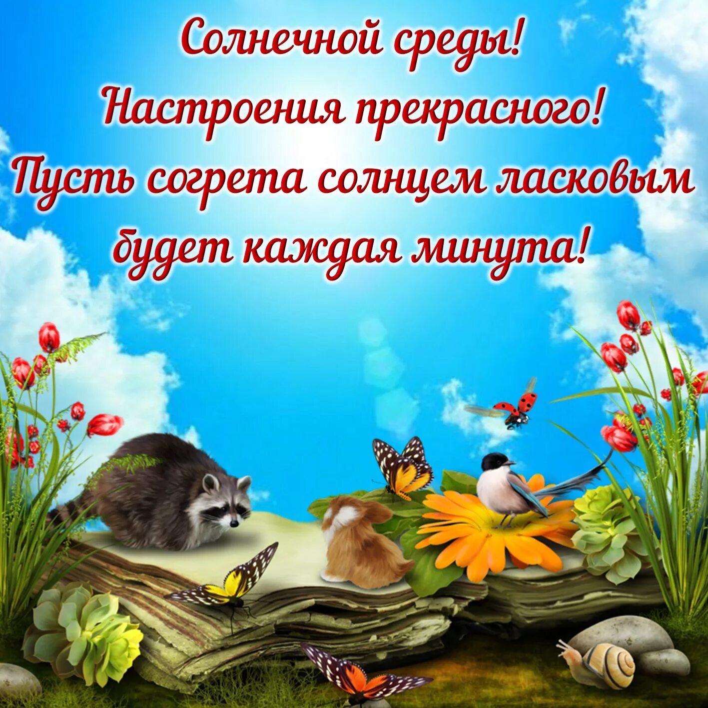 Замечательного дня и отличного картинки. Поздравление со средой. открытки со средой. пожелание хорошей среды. открытки прекрасного дня и отличного настроения.
