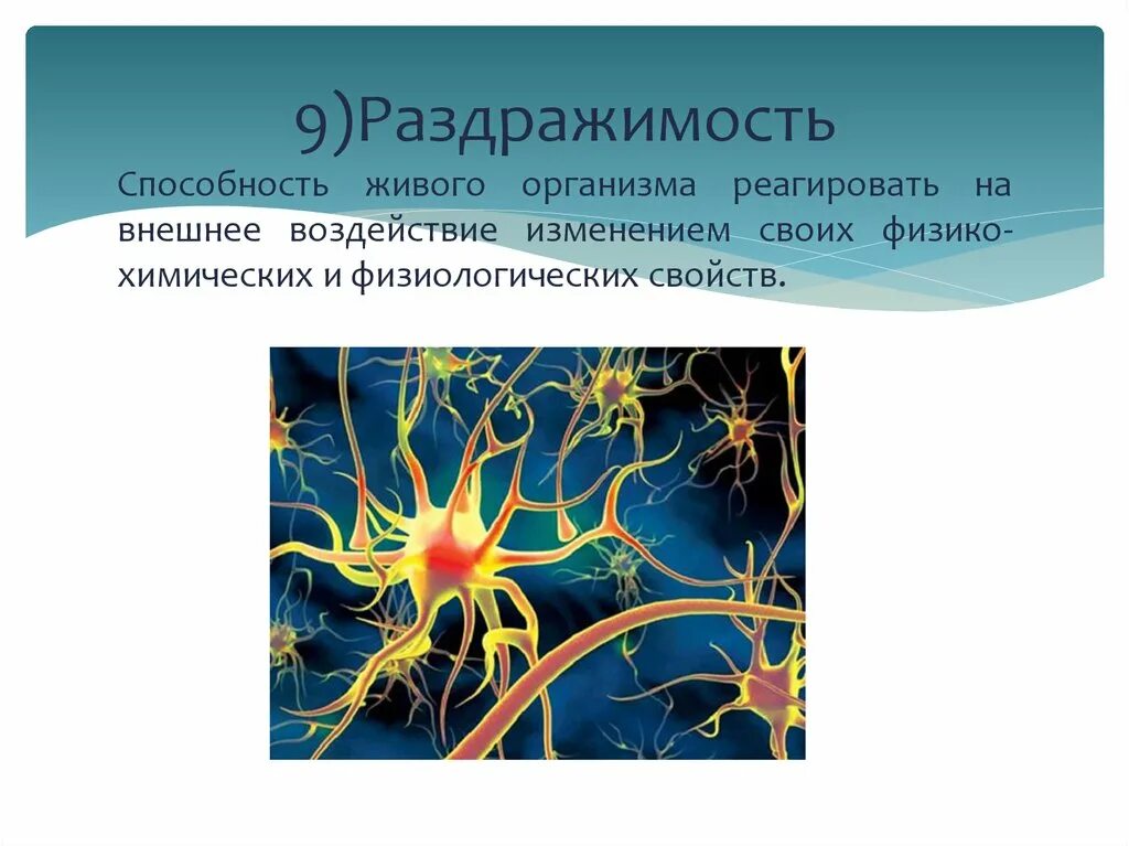 Раздражимость значение этого процесса для человека