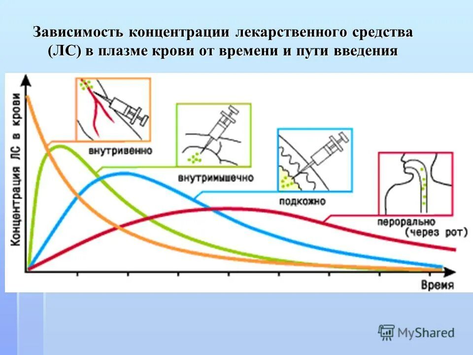 После введения концентрации. Зависимость концентрации лс в плазме крови от времени и пути введения. Концентрация лс в плазме крови от времени и пути введения. График зависимости эффекта от концентрации лекарства в крови. Зависимость действия лекарственных средств от пути введения.