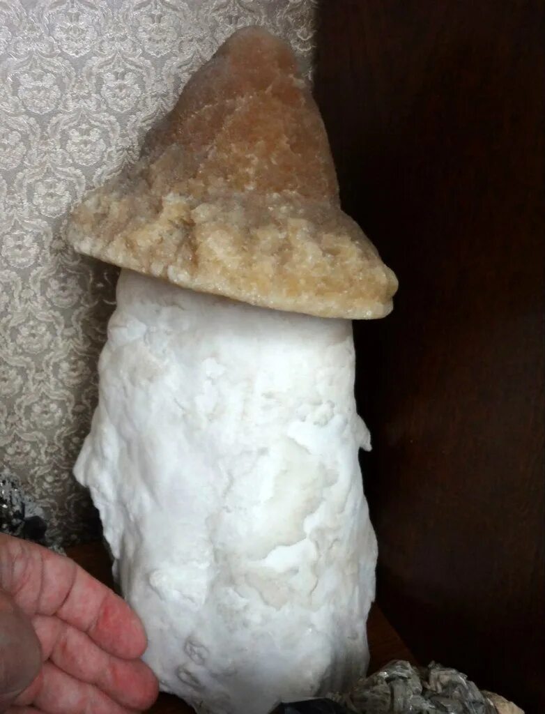 Каменный гриб курджиново. Грибы камень на оби. Каменные грибы. Валуны грибы. Грибы на камнях внешне.