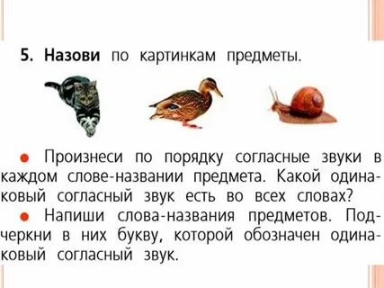 Белка утка улитка какой одинаковый согласный звук
