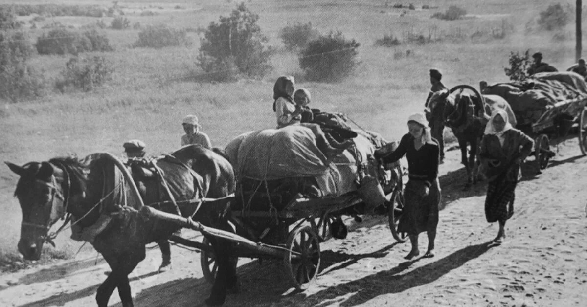 Водитель повозки. Гужевой транспорт лошади. Повозка вид от первого лица. Уступи дорогу гужевой повозке. Наезд на гужевой транспорт.