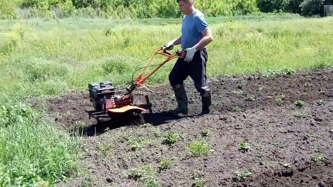Как быстро прополоть картошку