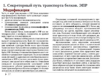 Отвечает за модификацию белков