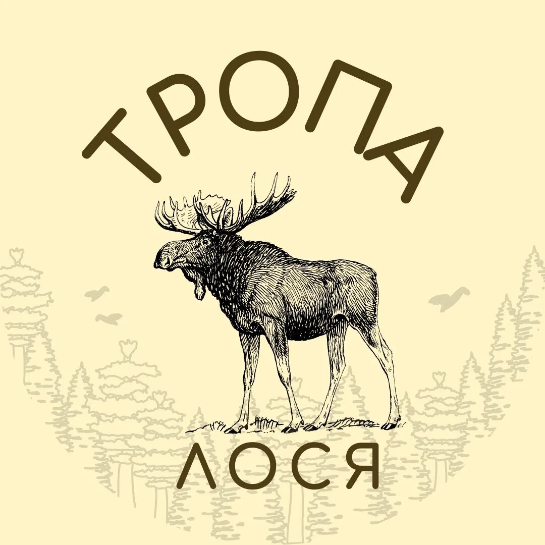 Стадо косуль. Лосиная тропа тропа лосей. Лосиный остров национальный парк. Лось в сибири. Тропа лося эндуро координаты.